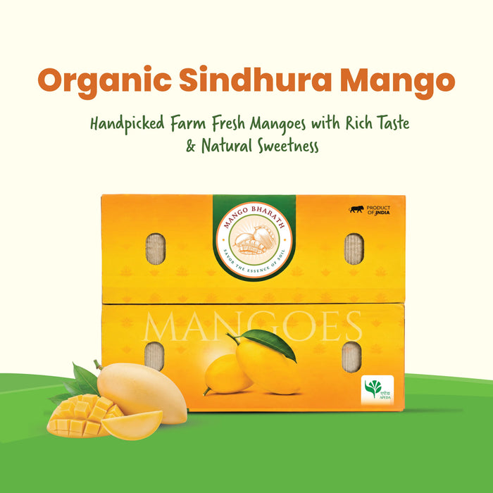 Box of Organic Sindhura Mangoes 