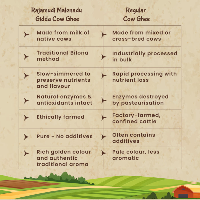 Malenadu Gidda Cow Ghee – Traditional Bilona Method | Rajamudi Organics