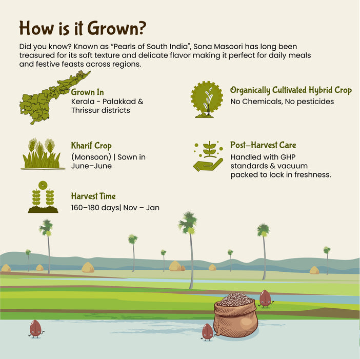 How navara rice is grown
