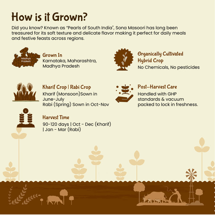 how to grow urad dal