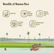 benefits of navara rice